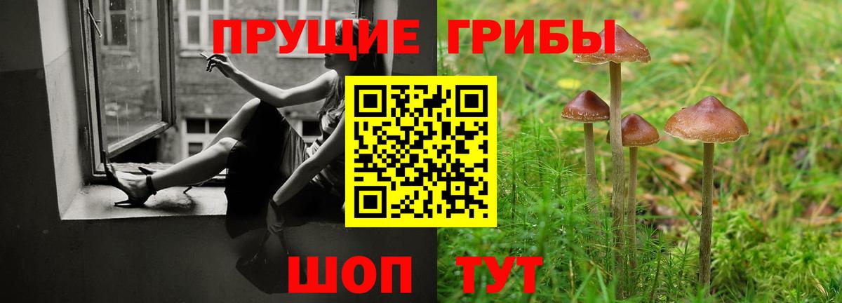 Галлюциногенные грибы GOLDEN TEACHER  Вход с VPN  Королёв  Псилоцибиновые грибы Magic Shrooms 